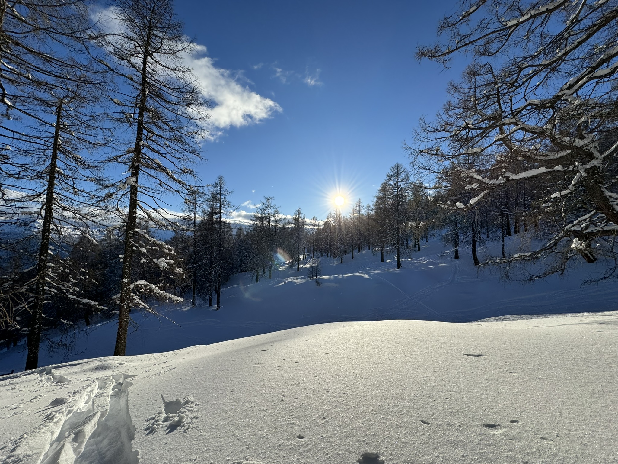 services-03 img-1283