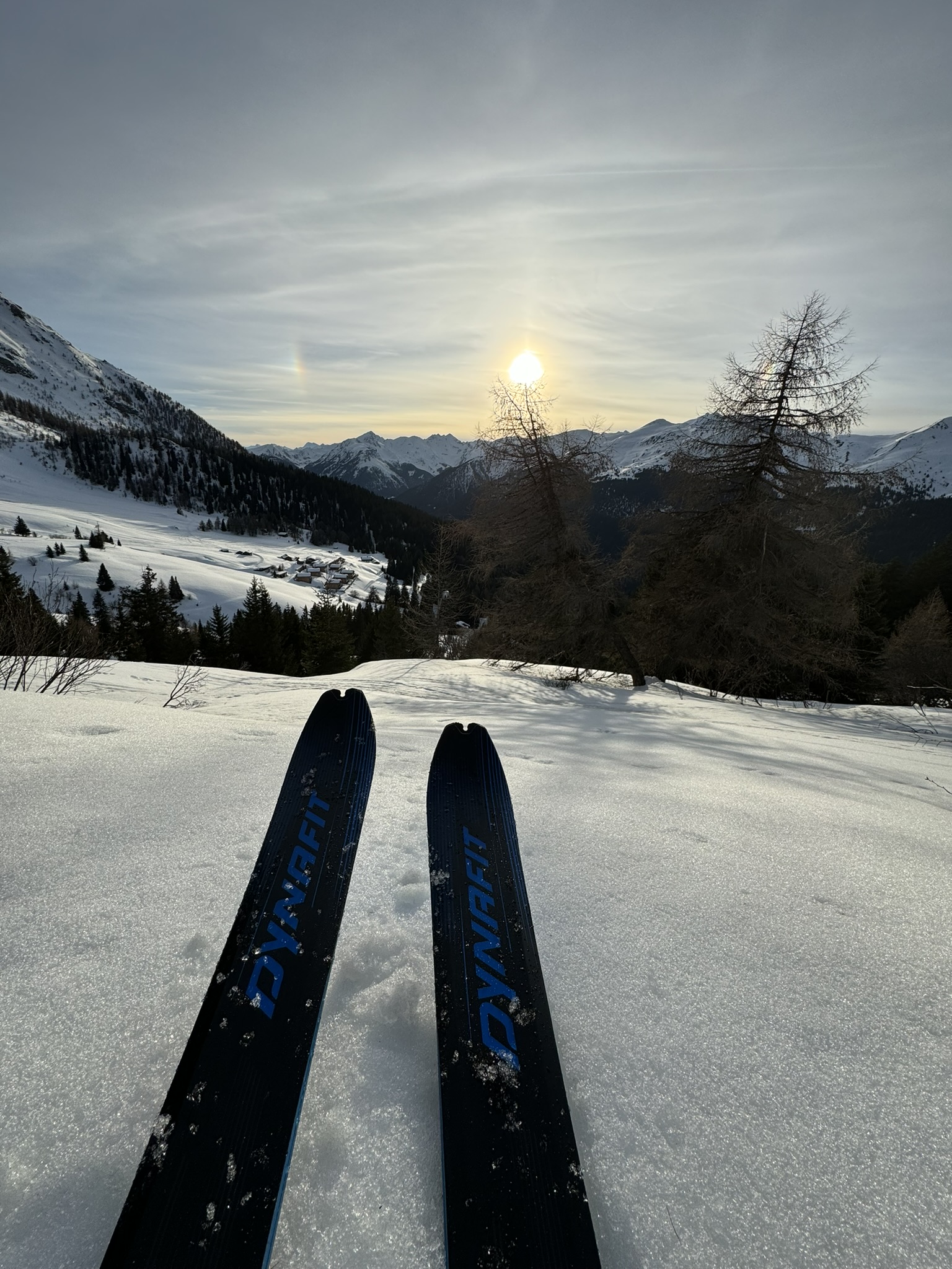 services-02 img-1973