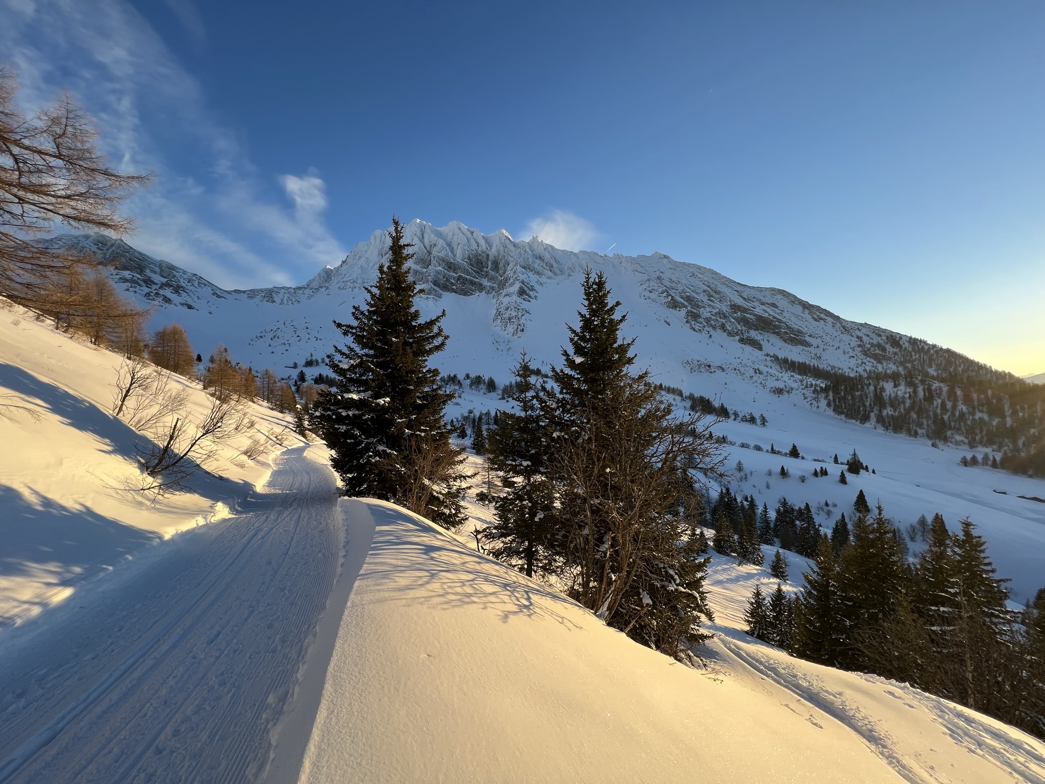 services-01 img-7054