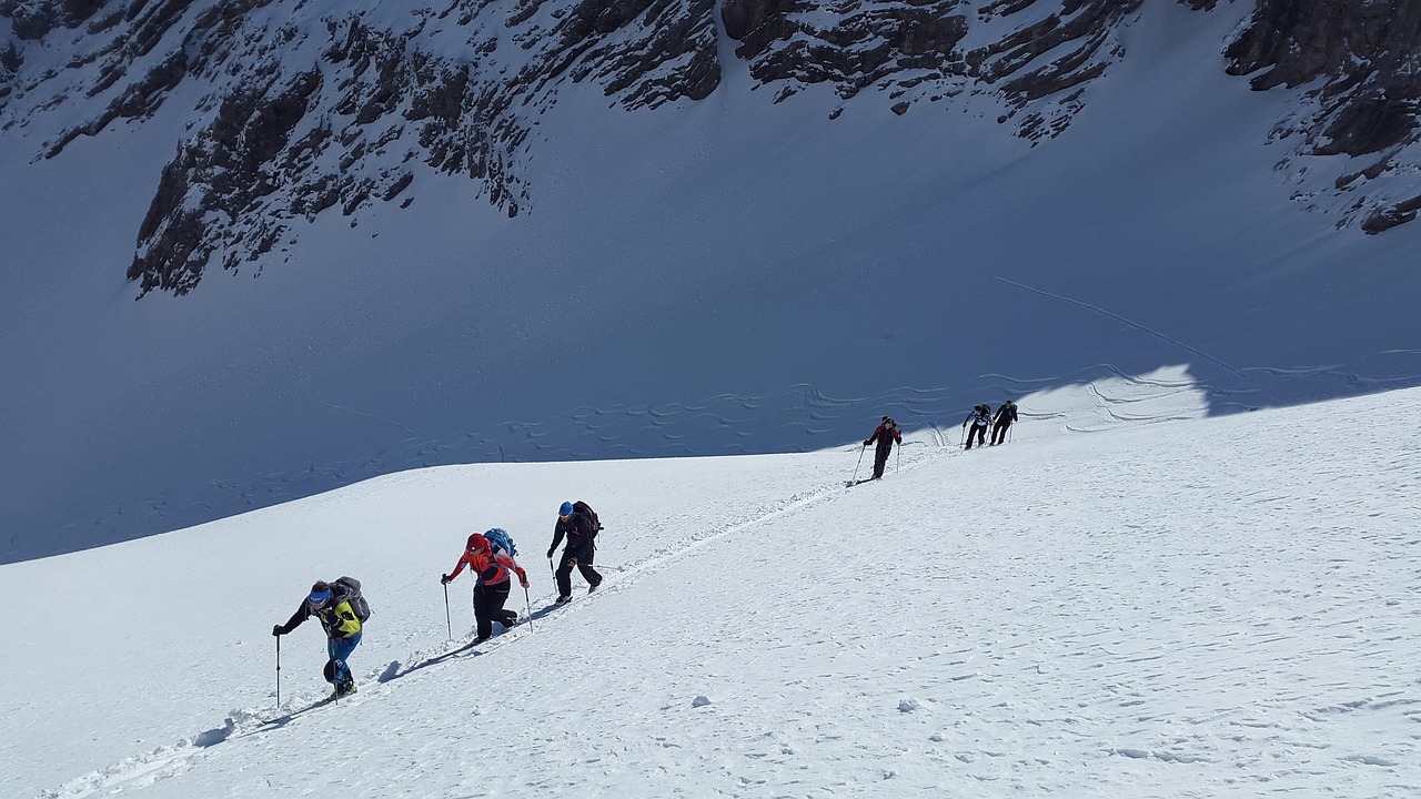ski mountaineering, backcountry skiiing, winter sports, winter, snow, sports, ski, alps, to ski, ski touring, skiing, outdoor, alpine, winter landscape, touring skis, ski tourers, adventure, nature, ski, ski, ski touring, skiing, skiing, skiing, skiing, skiing